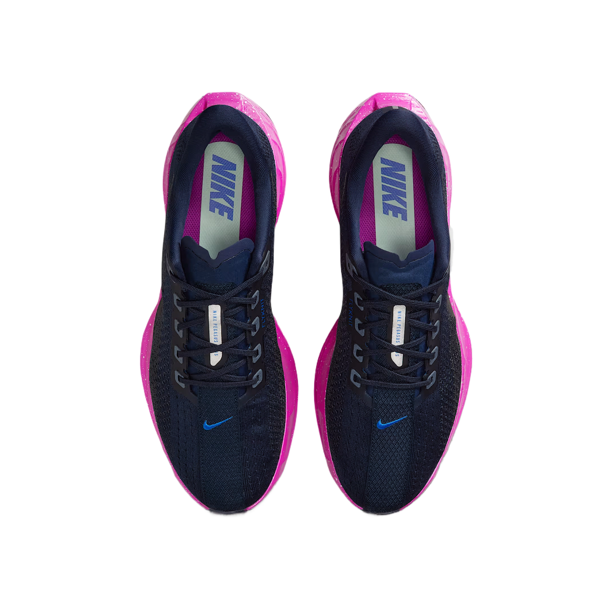 Nike Pegasus Plus