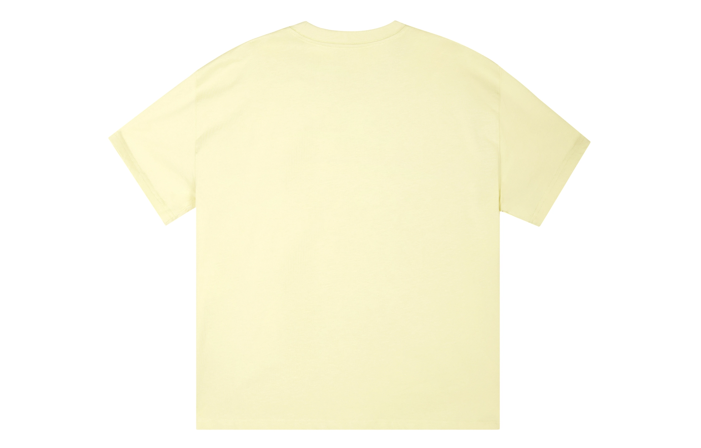 ICONS Lab ICS T