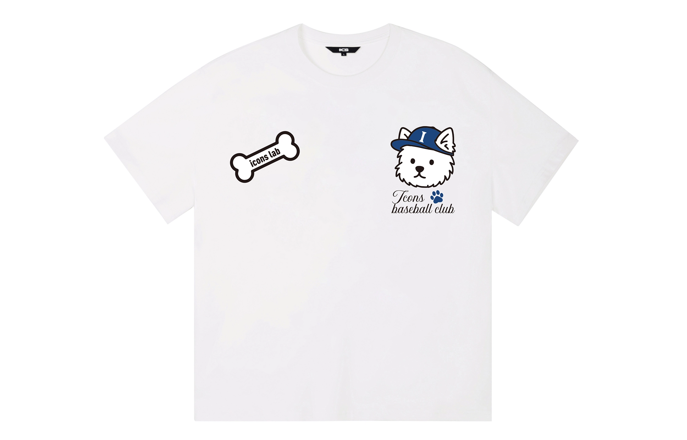 ICONS Lab ICS T