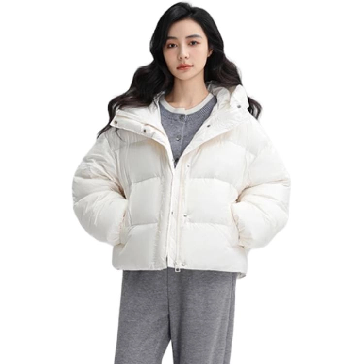FW24