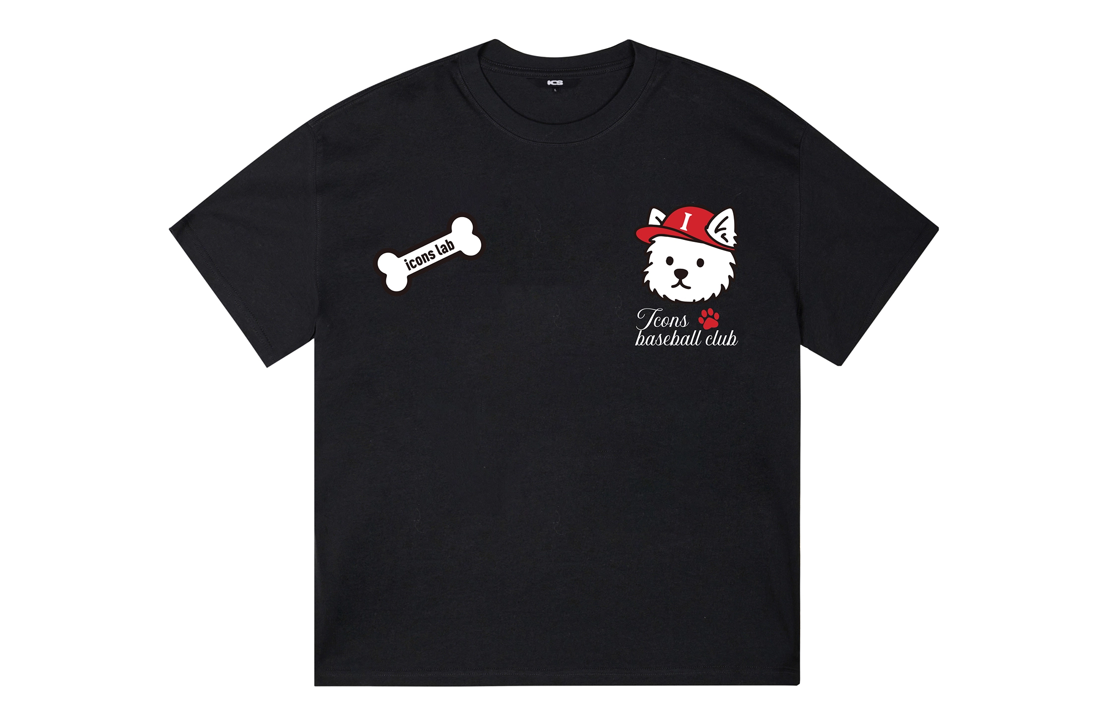ICONS Lab ICS T