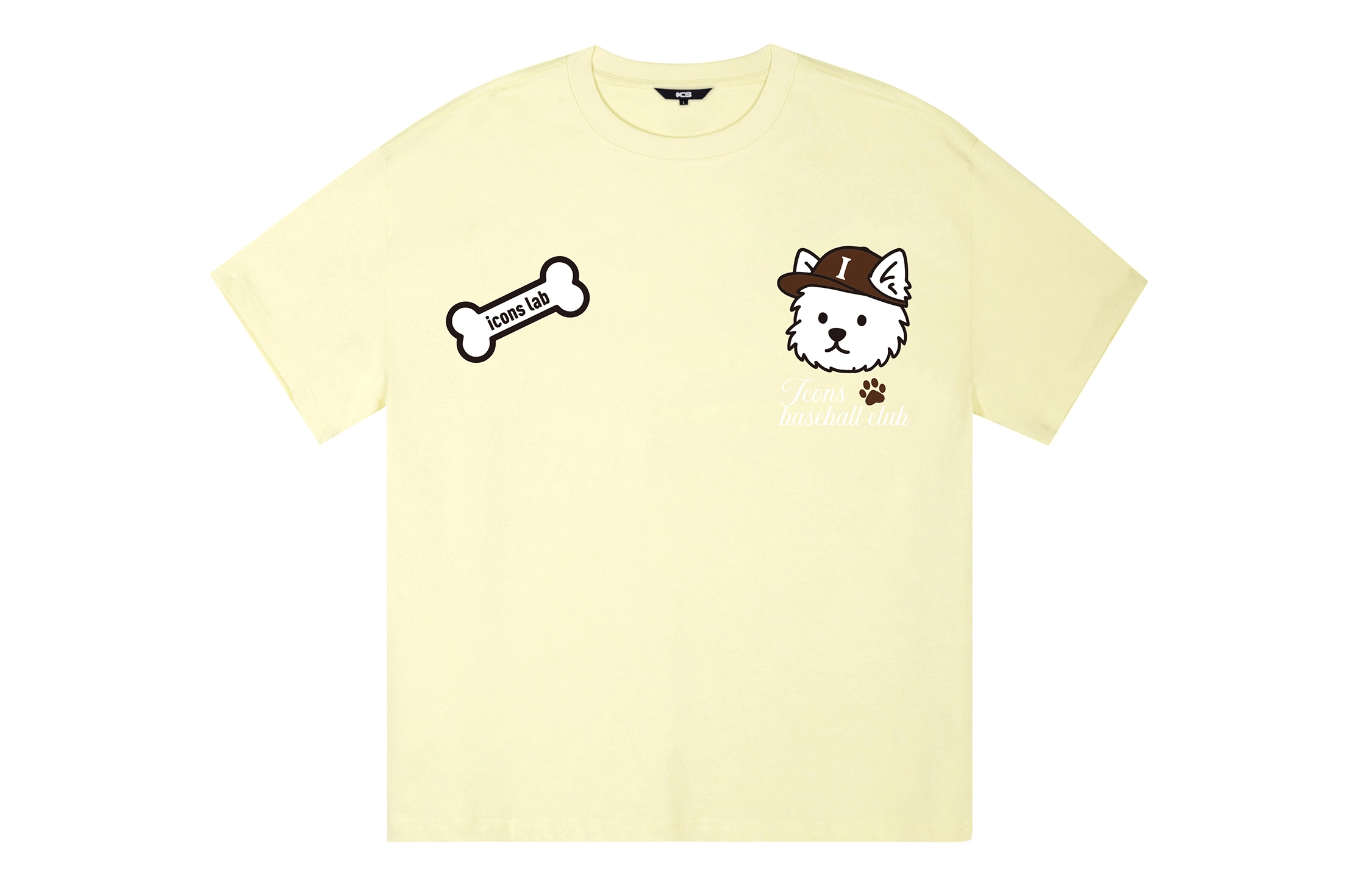 ICONS Lab ICS T