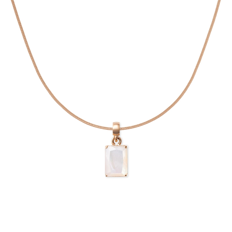 Daniel Wellington CHARMS