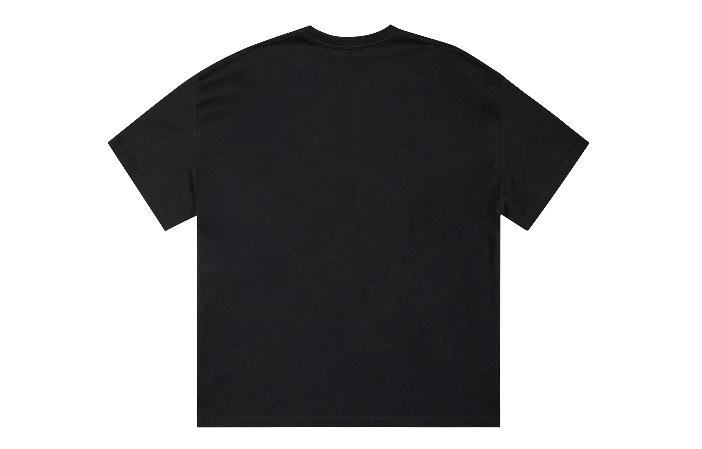 ICONS Lab ICS T