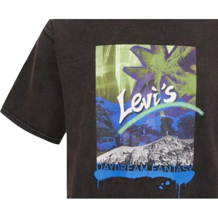 Levis T