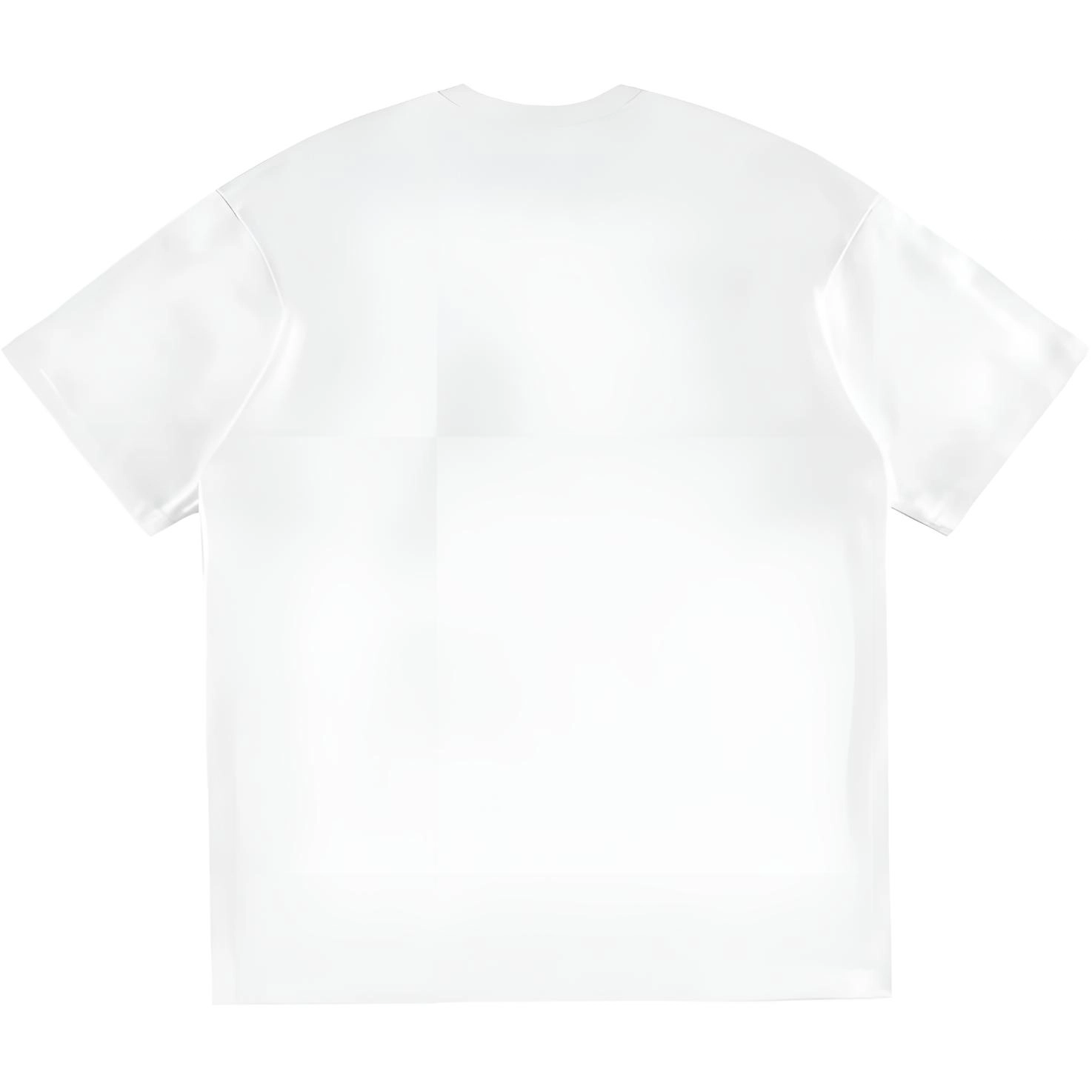 fdragon T