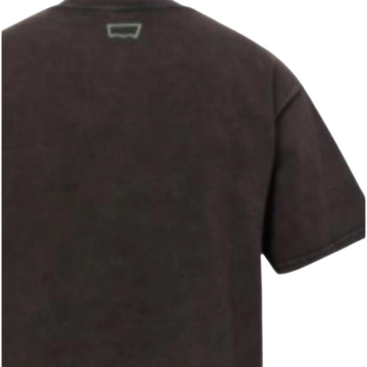 Levis T