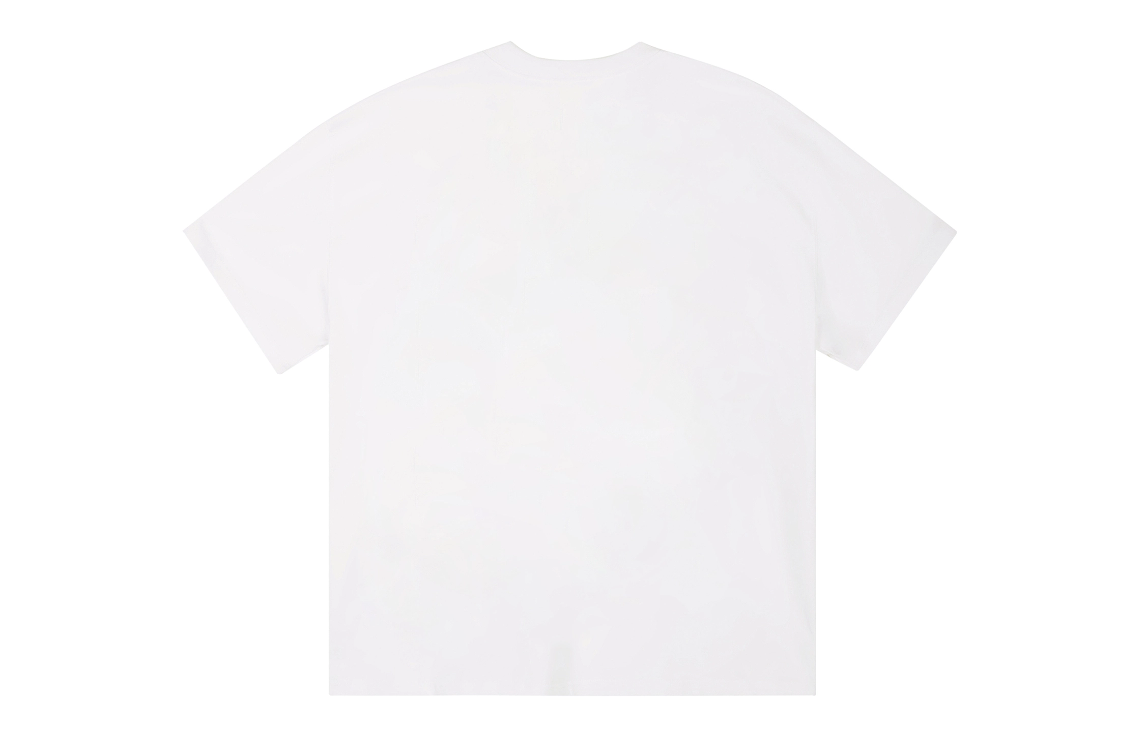 ICONS Lab ICS T