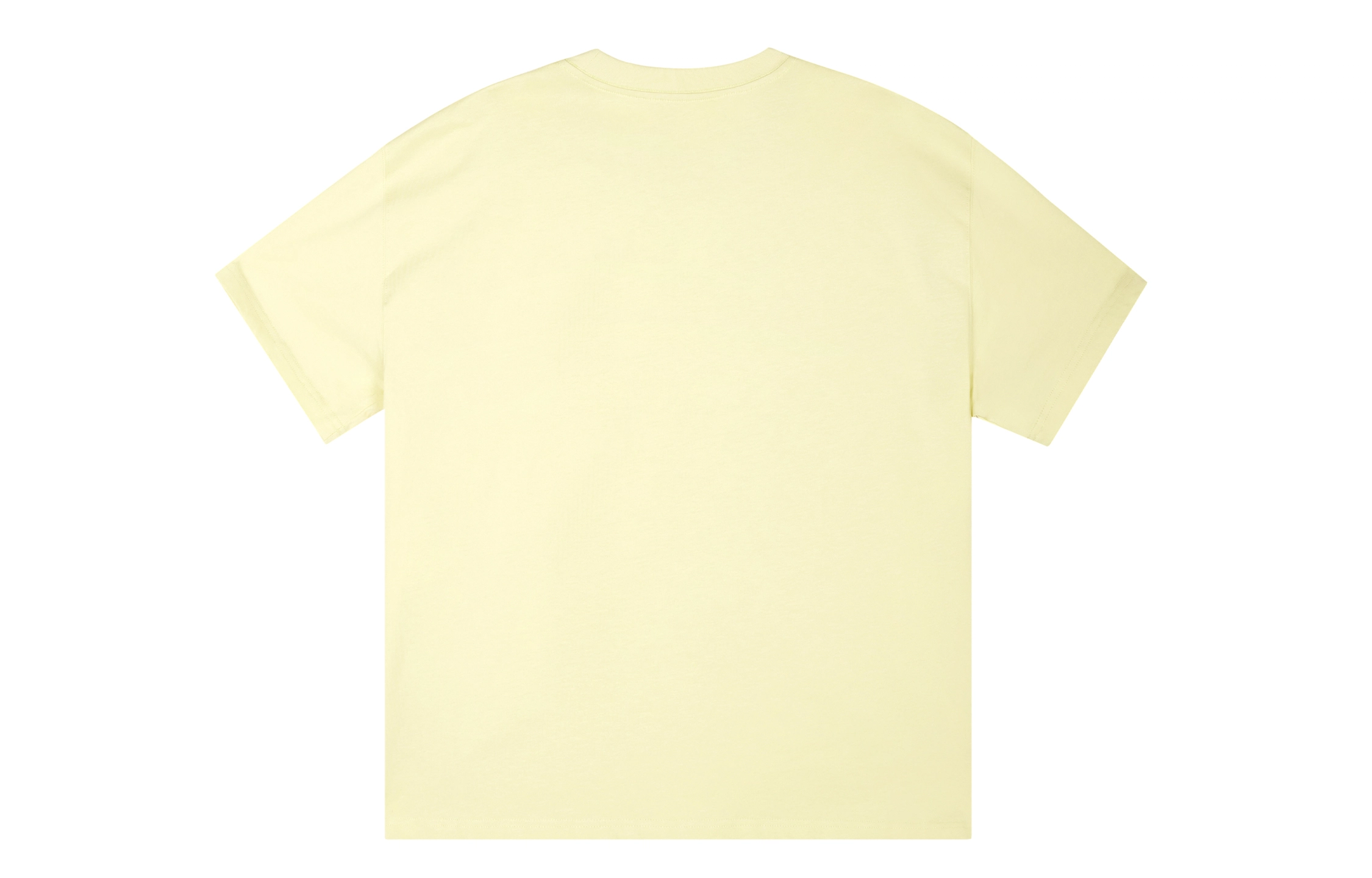 ICONS Lab ICS T