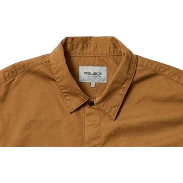PALACE x Carhartt WIP FW23 logo