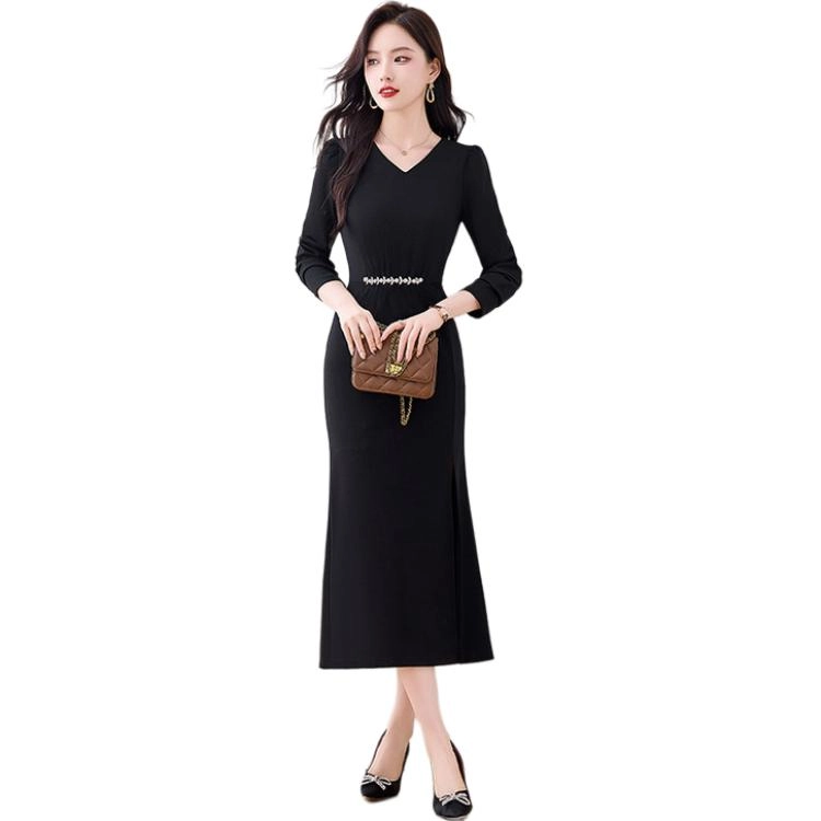 PIERRE CARDIN V
