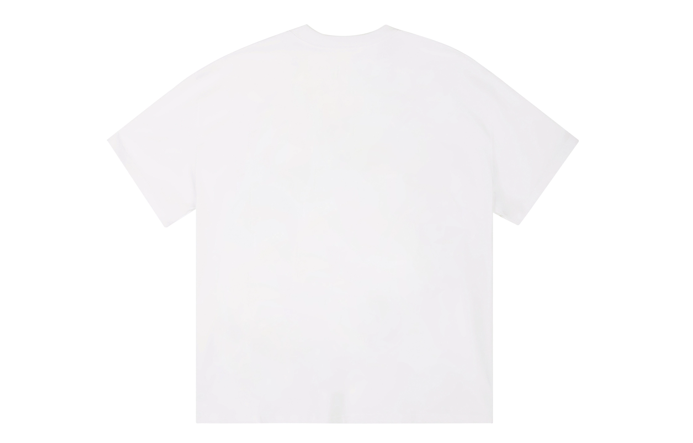 ICONS Lab ICS T