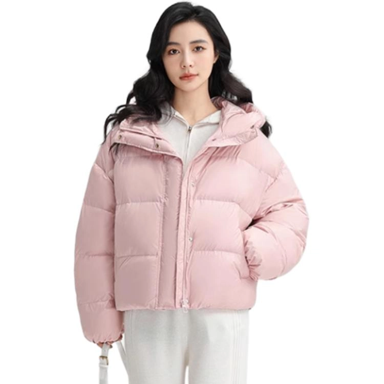 FW24