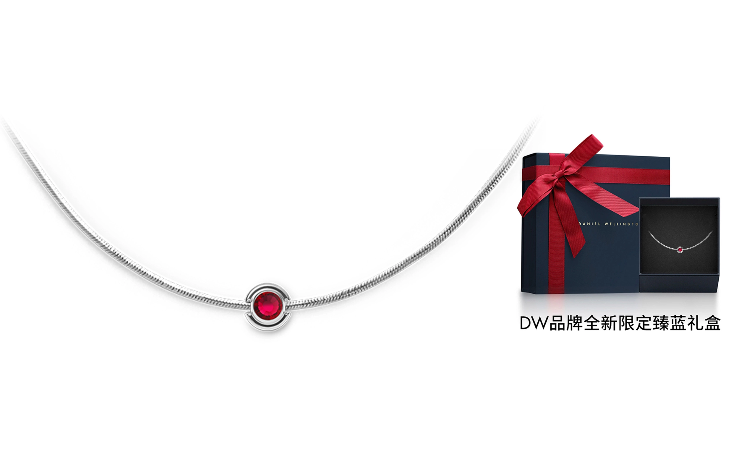 Daniel Wellington DW CHARMS 925