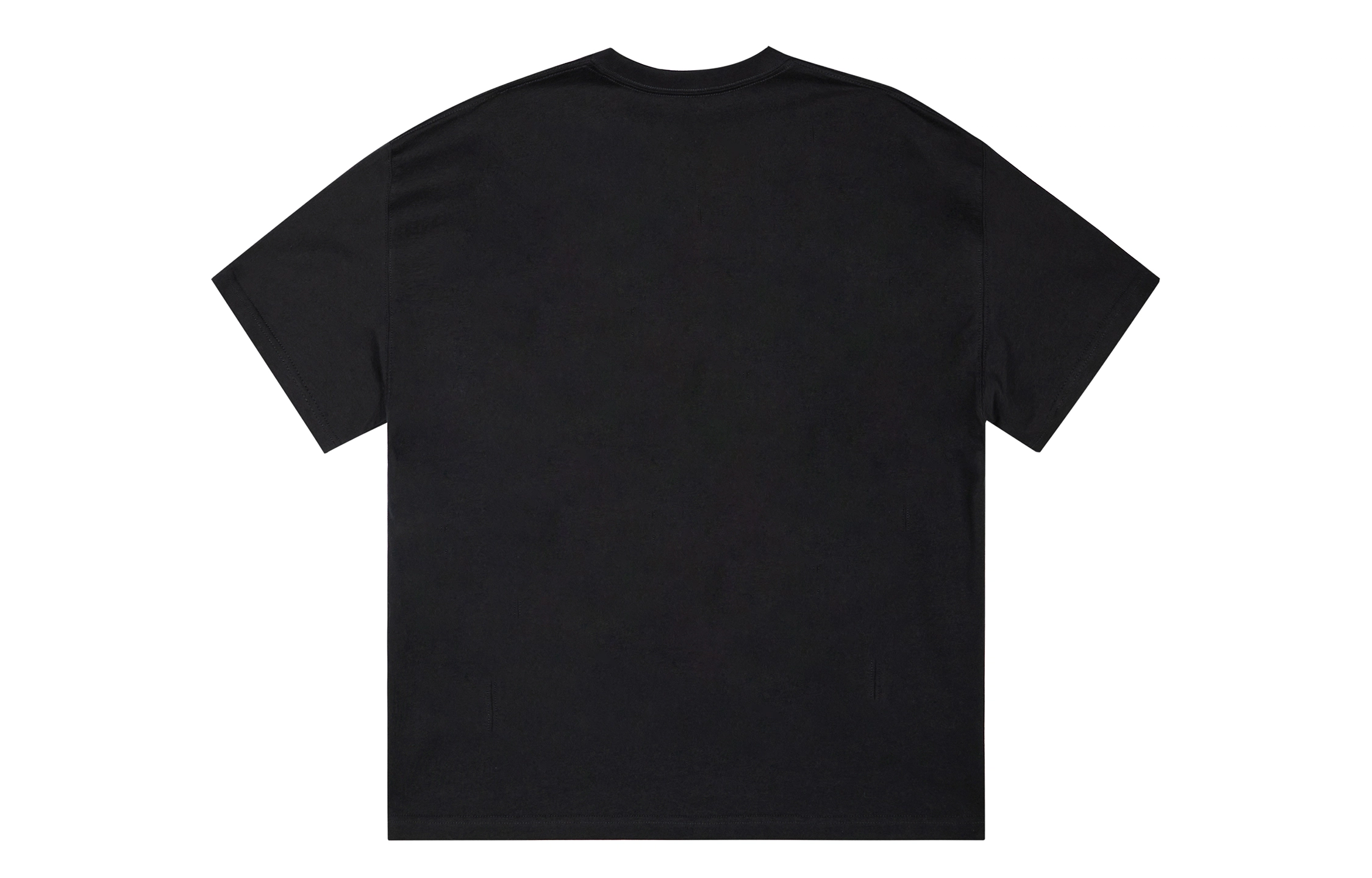 ICONS Lab ICS T