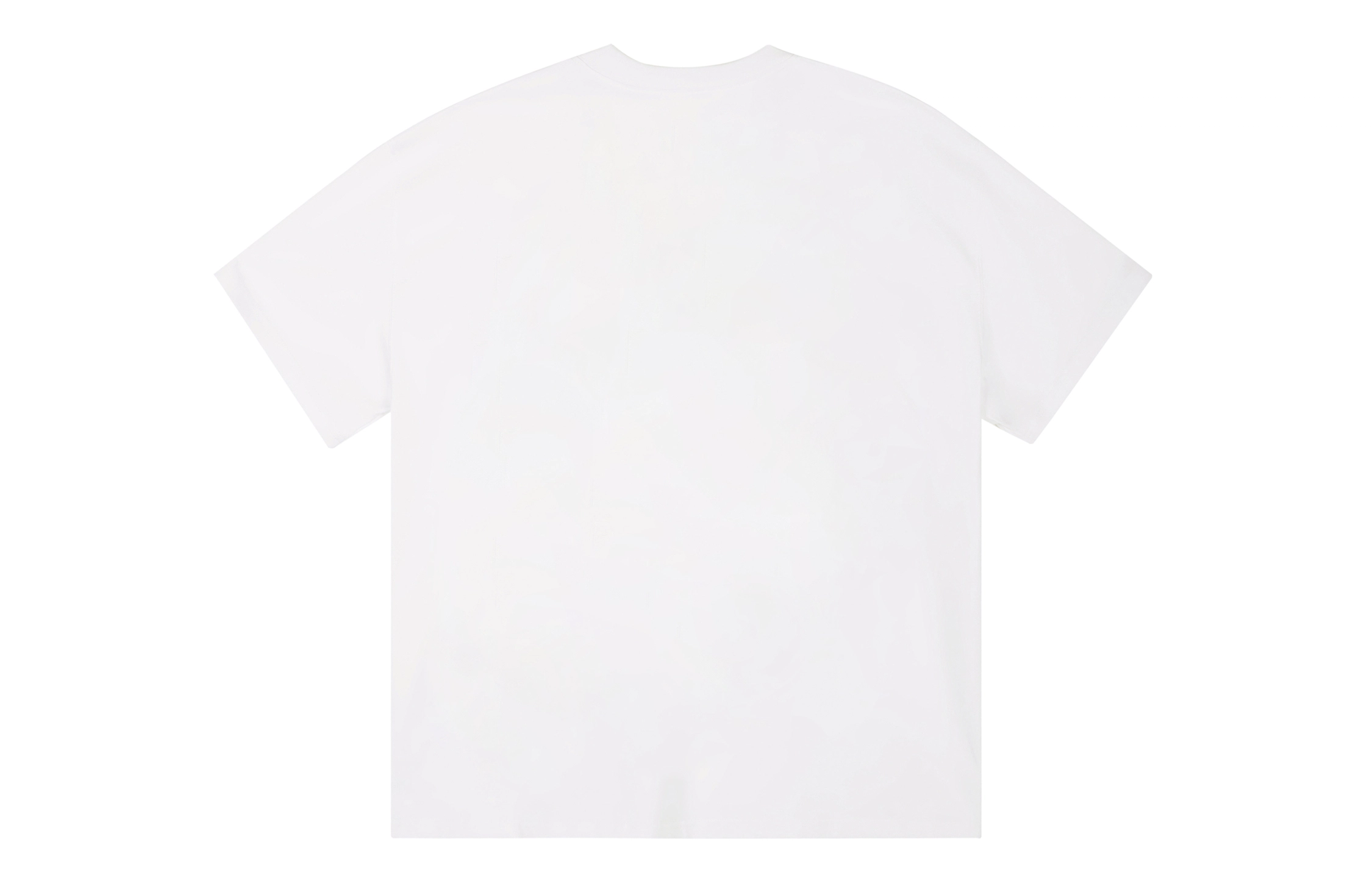 ICONS Lab ICS T