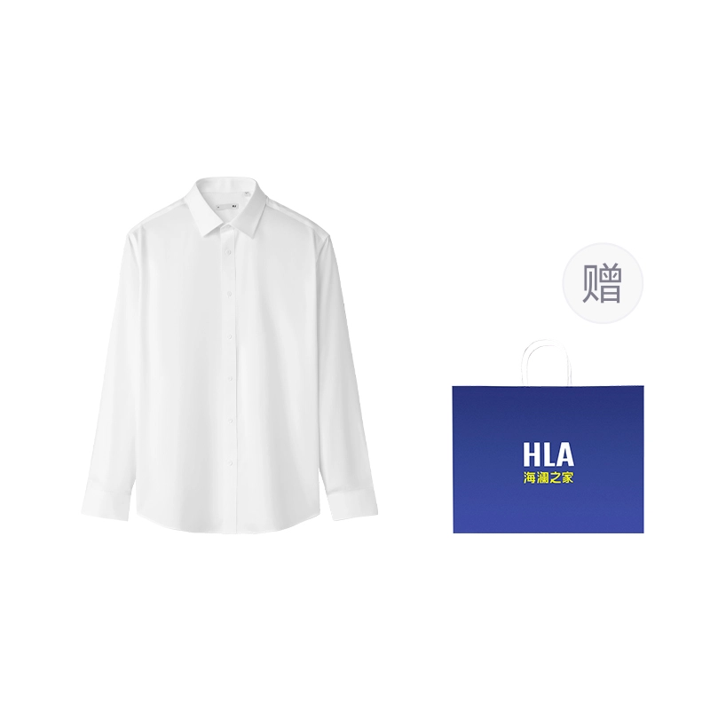 HLA DP