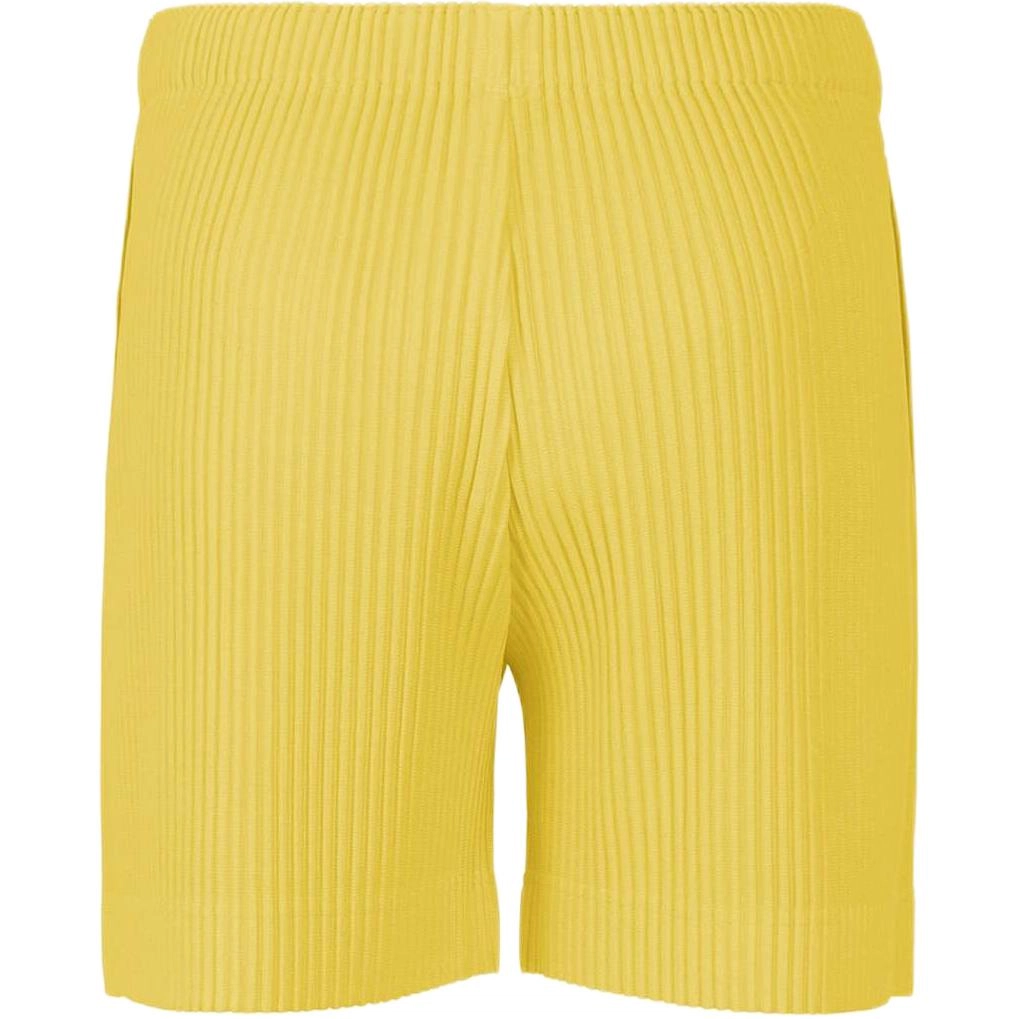 Homme Pliss Issey Miyake FW25