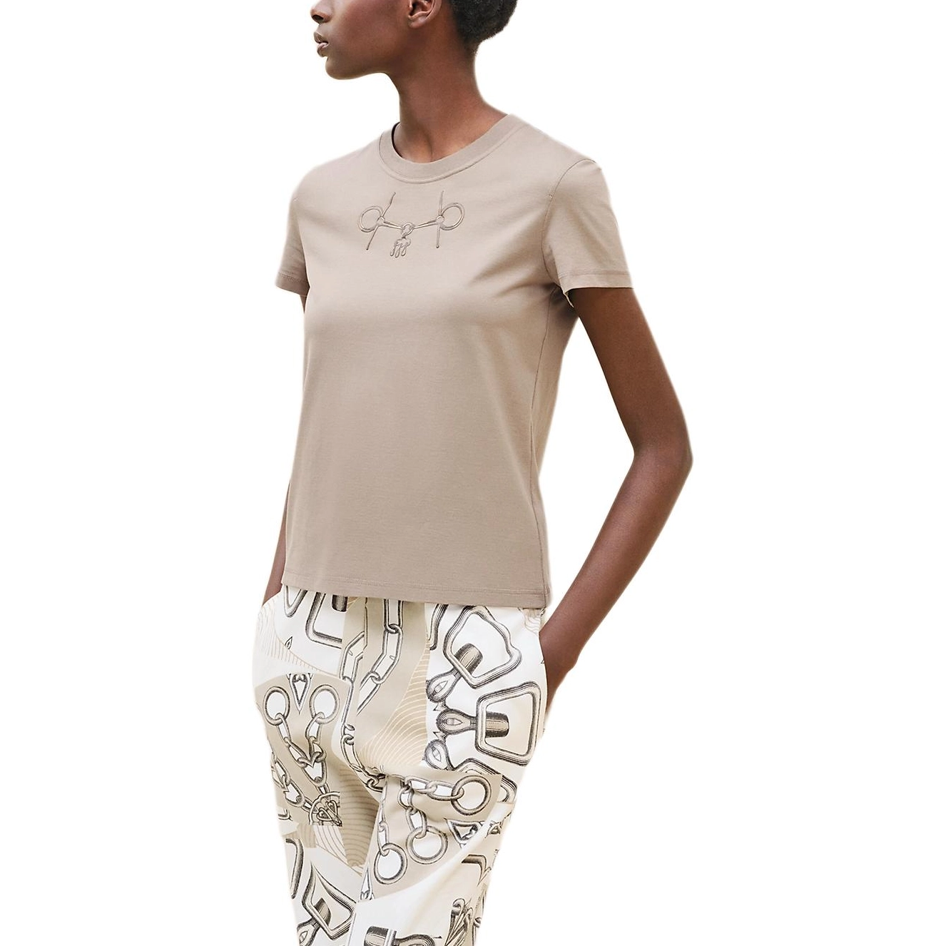 HERMES Logo T