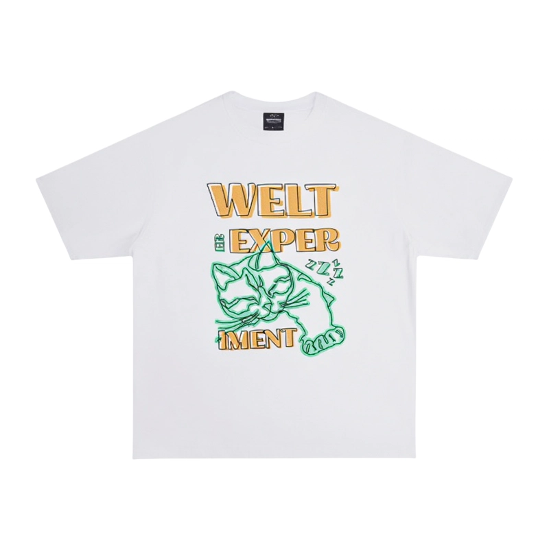 WELTER EXPERIMENT LOGO300T