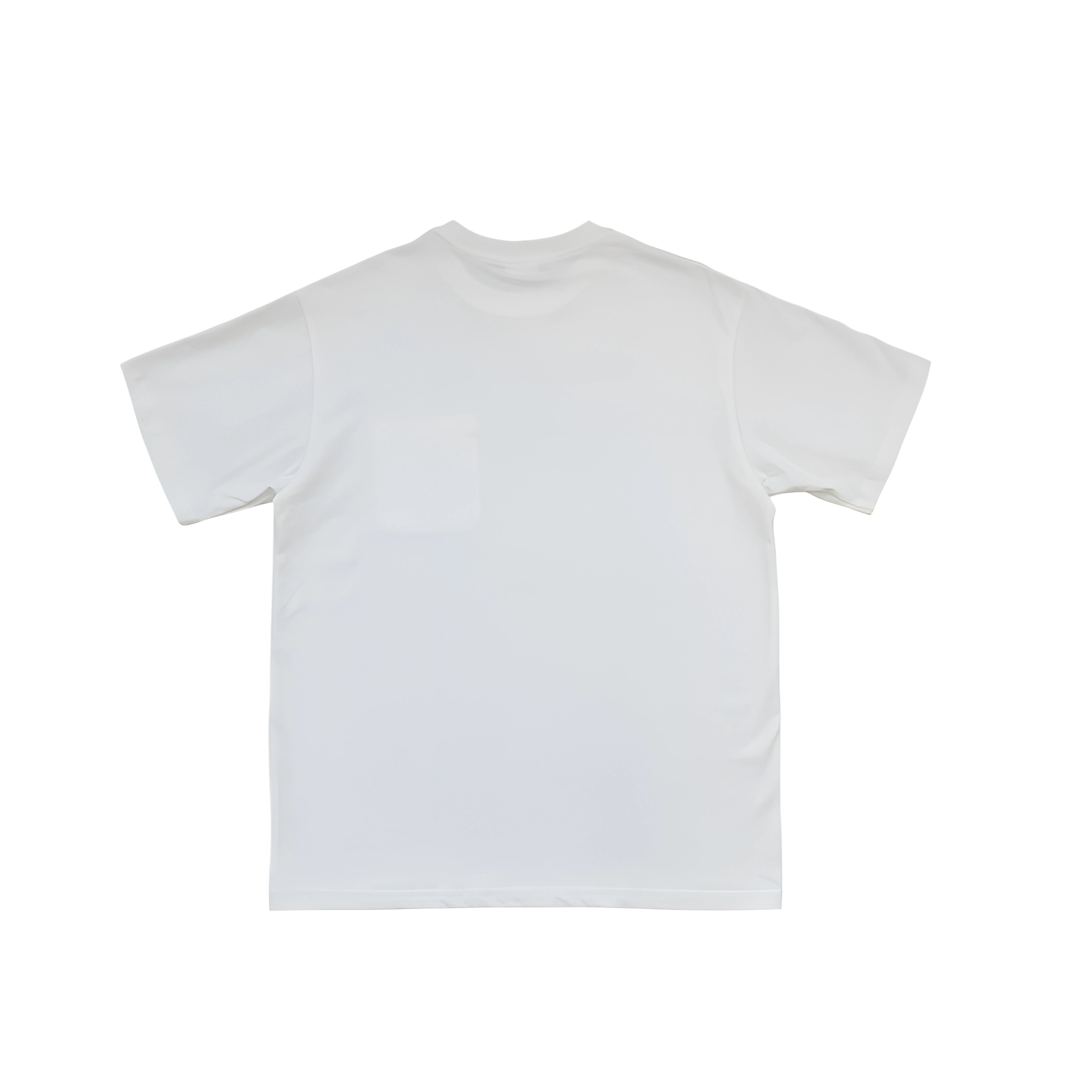 HYLHYL T