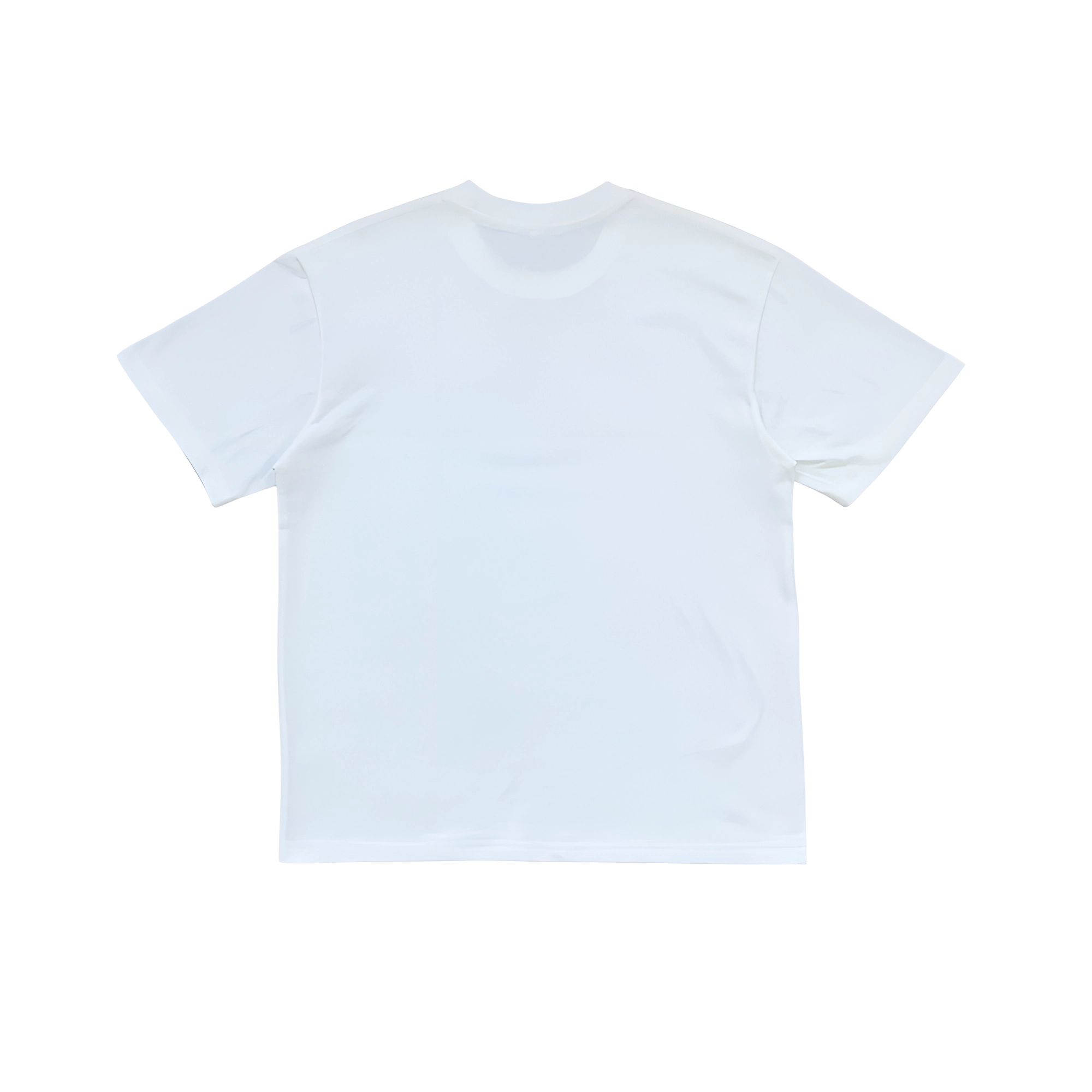HYLHYL T