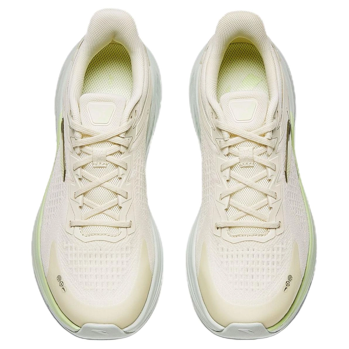 Anta 6