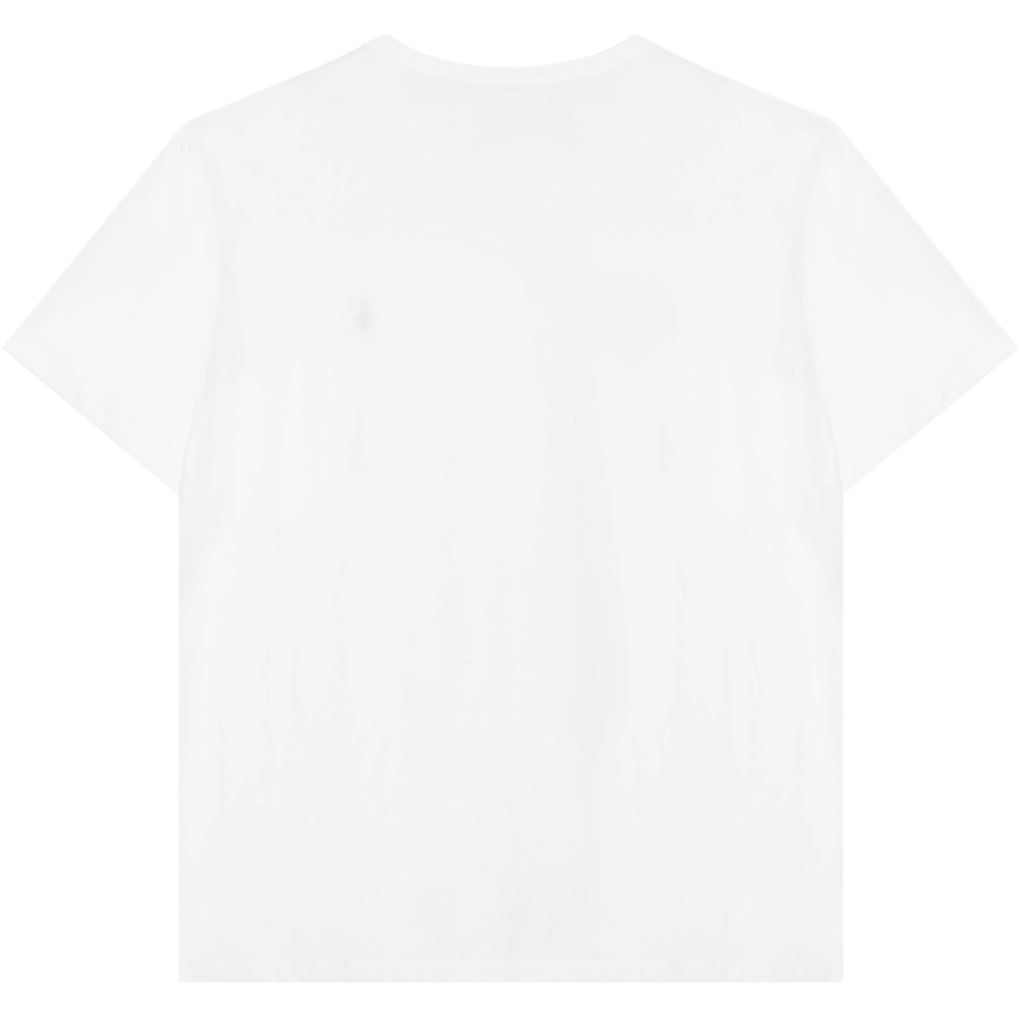 Polo Ralph Lauren T
