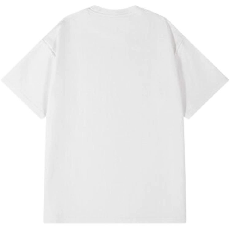 EDRPIUS T
