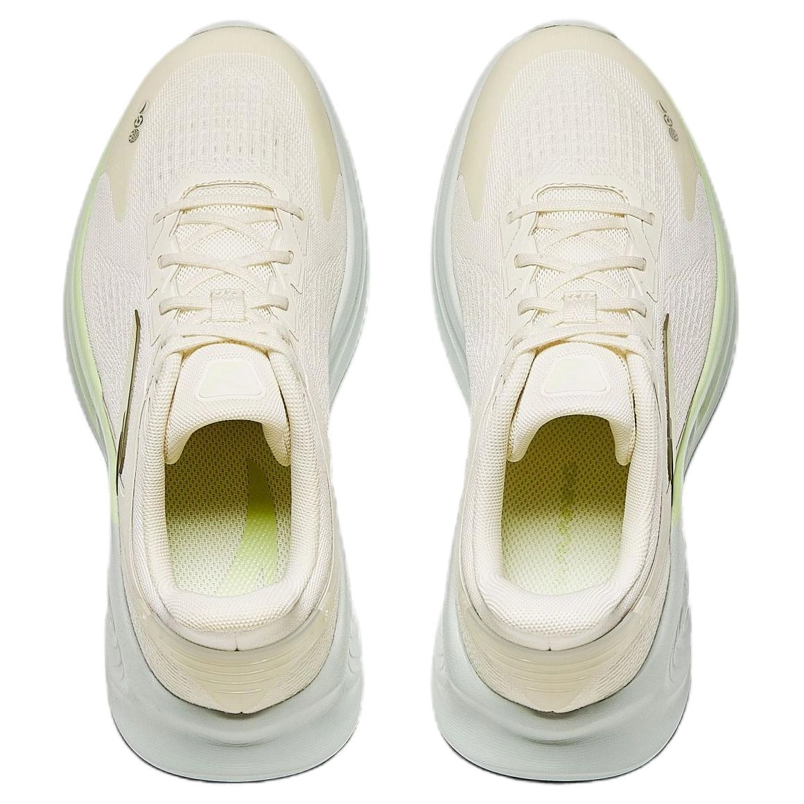 Anta 6