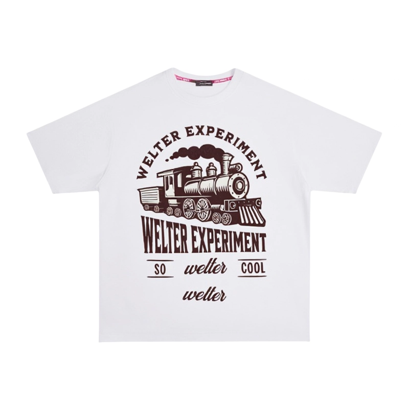WELTER EXPERIMENT LOGO300T