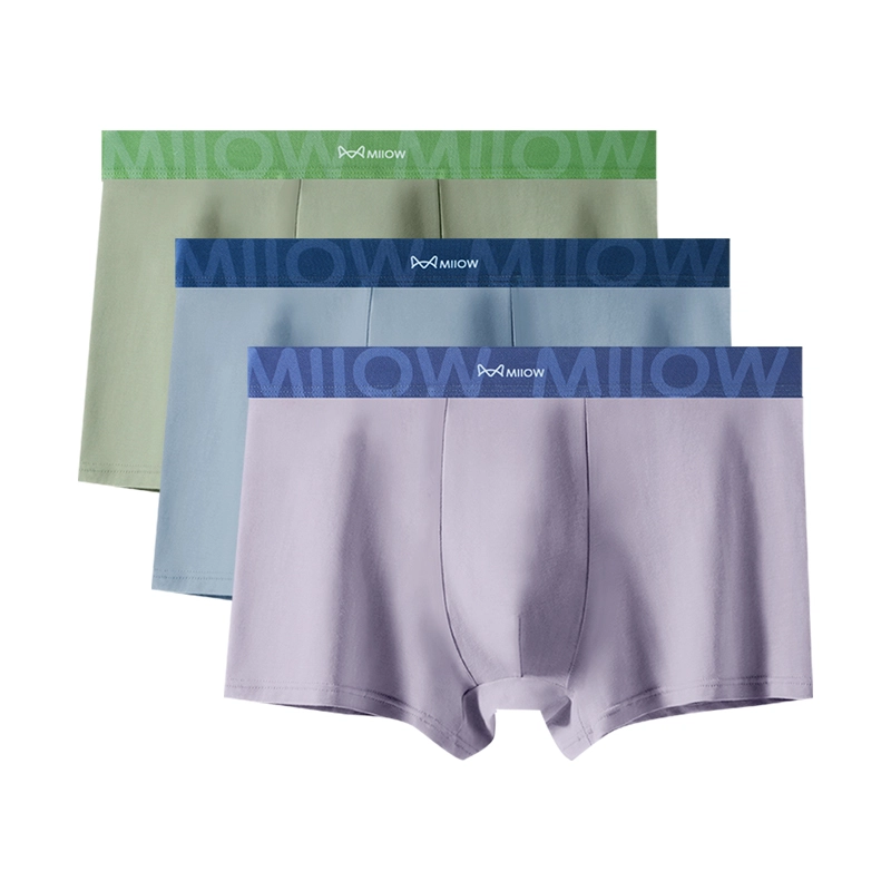 MIIOW 607Alogo 3