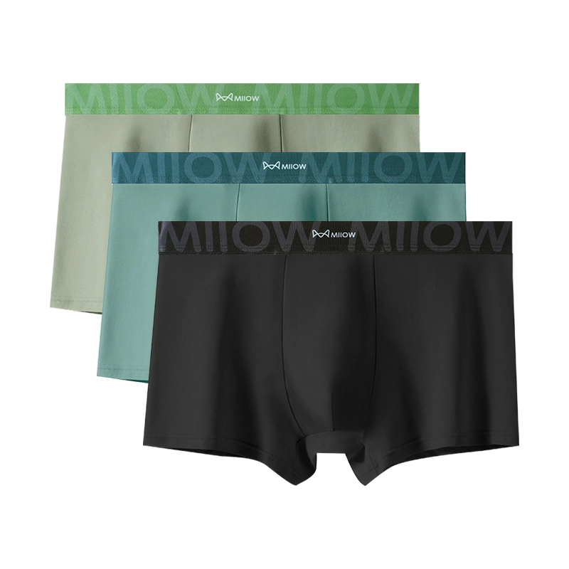 MIIOW 607Alogo 3