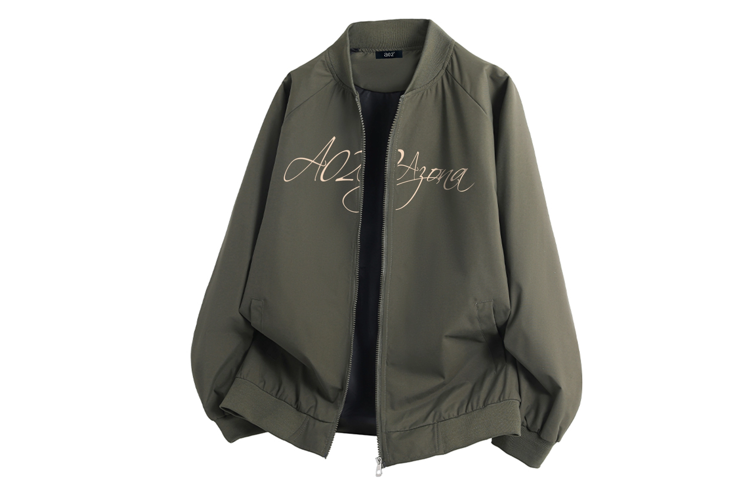 a02 LOGOins