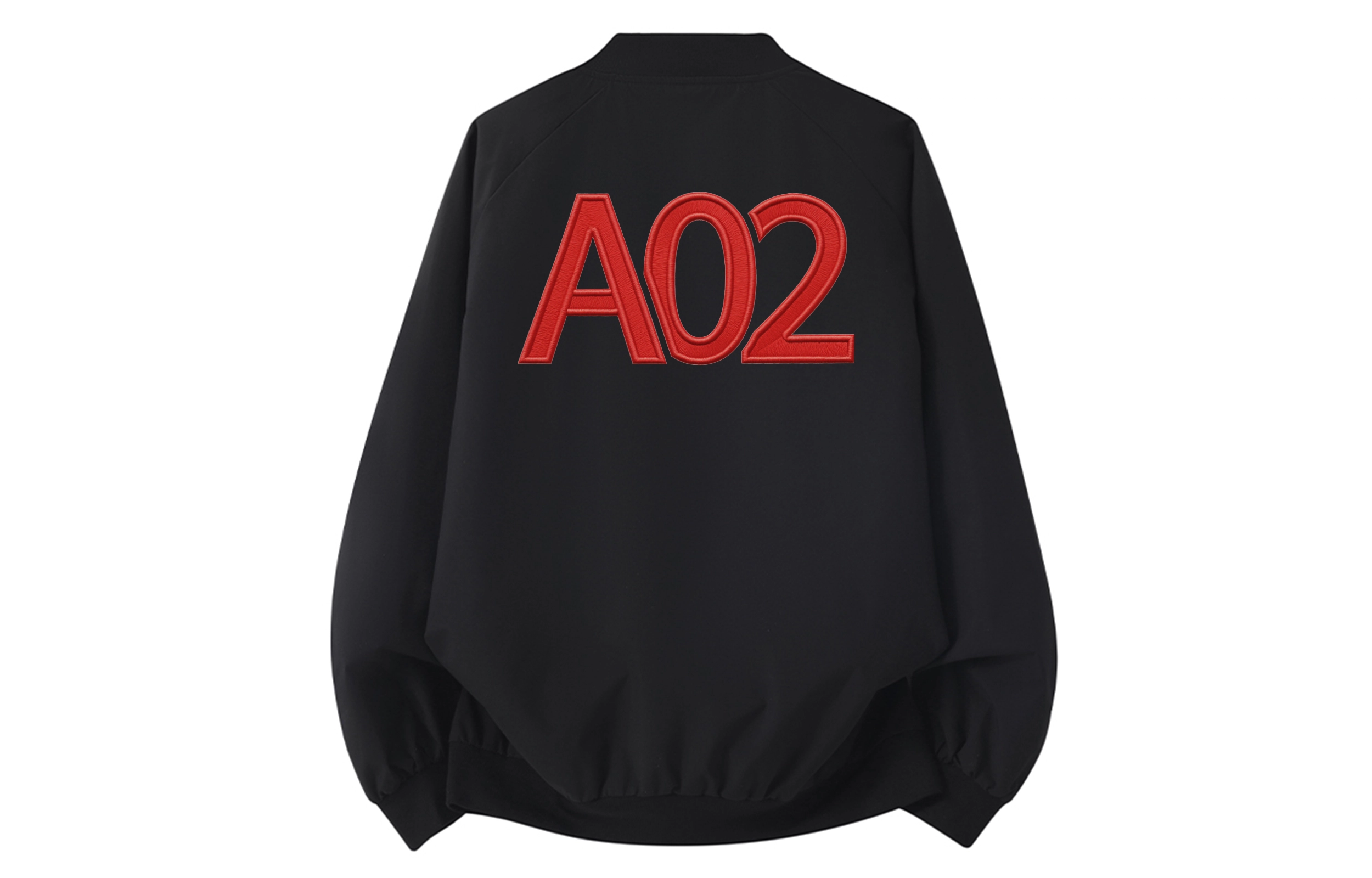 a02 LOGOins