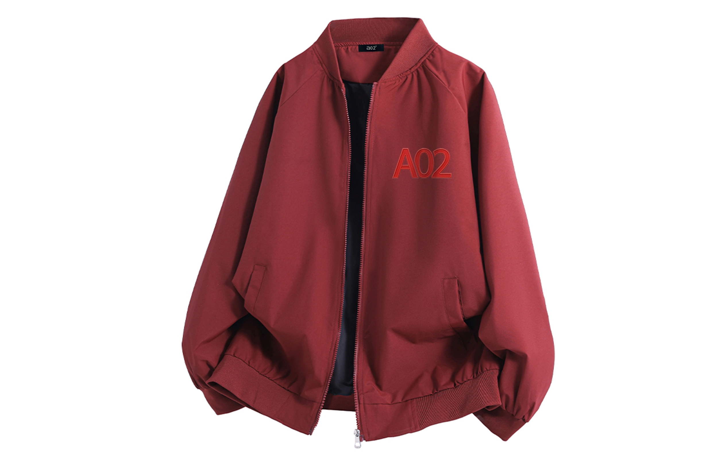 a02 LOGOins
