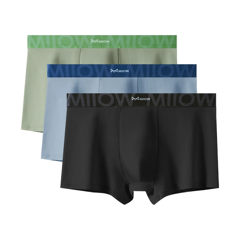 MIIOW 607Alogo 3