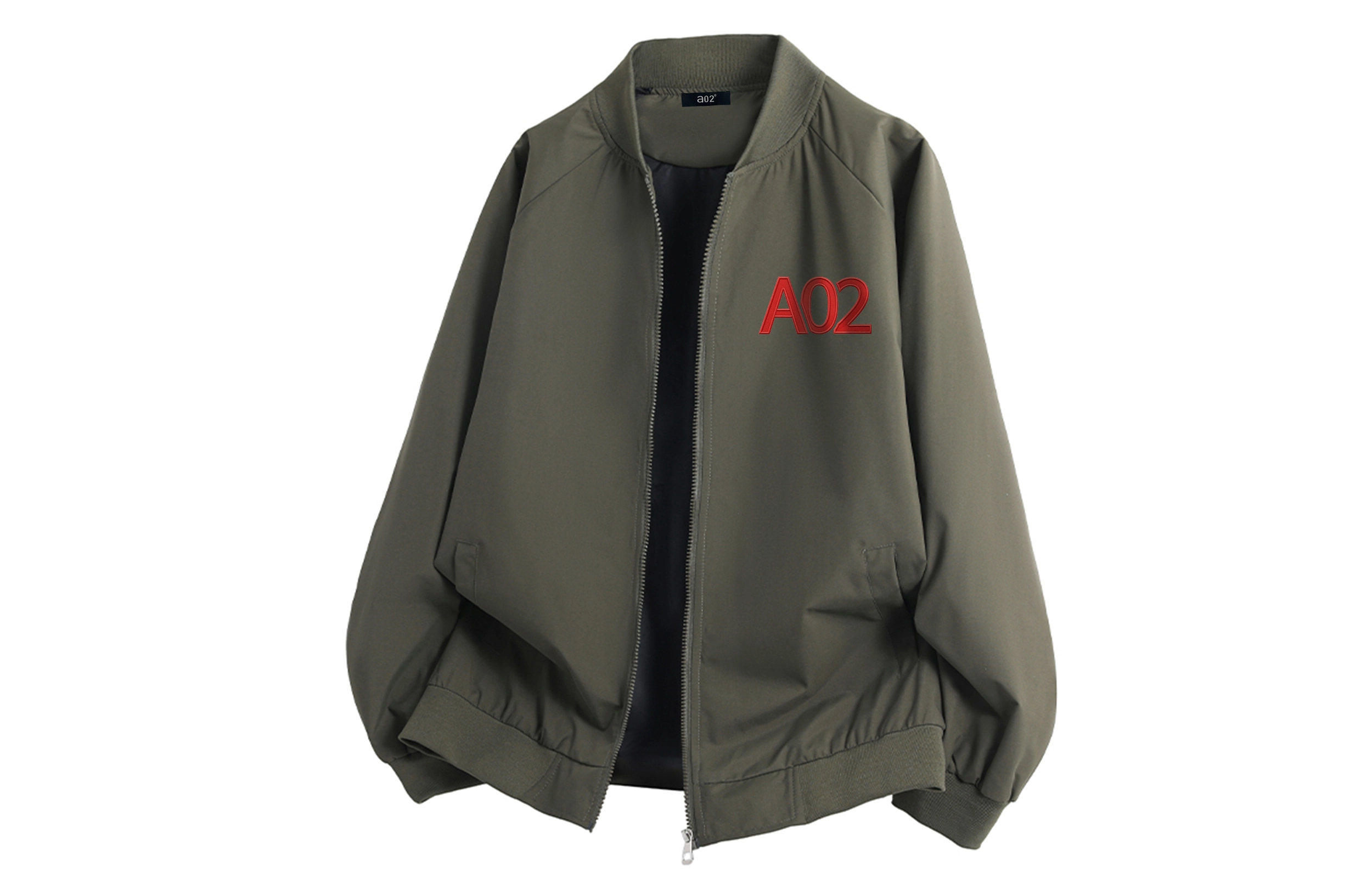 a02 LOGOins