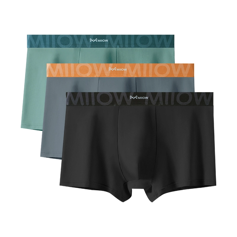 MIIOW 607Alogo 3
