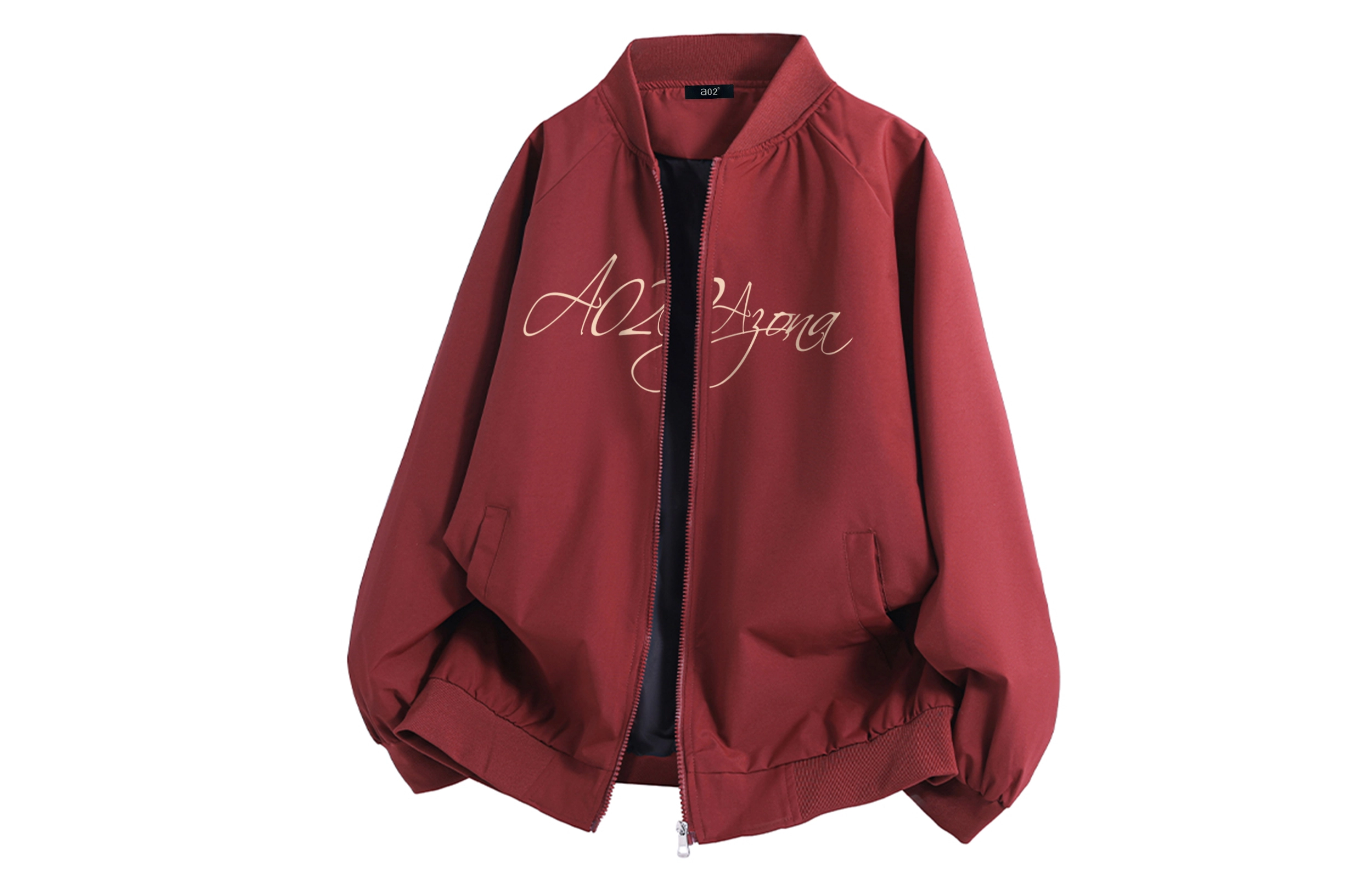 a02 LOGOins