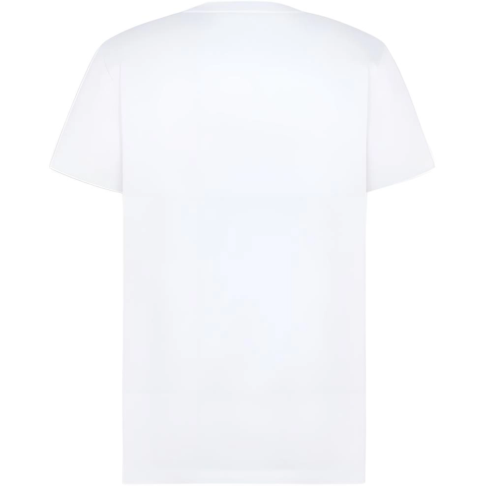DIOR FW25 T