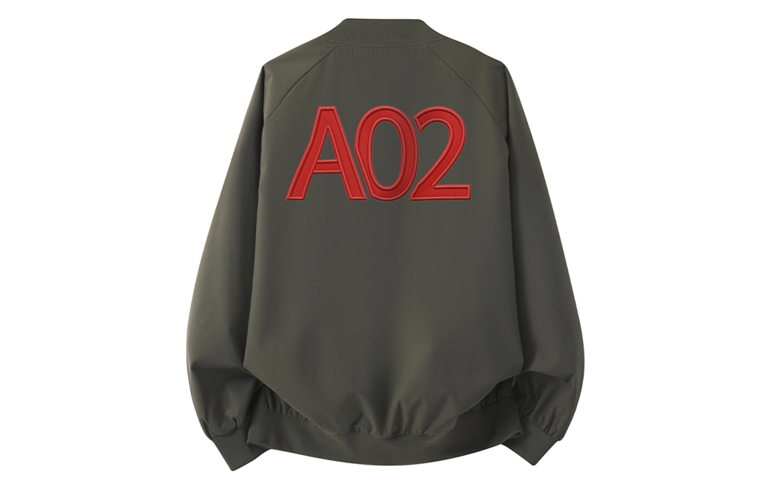 a02 LOGOins