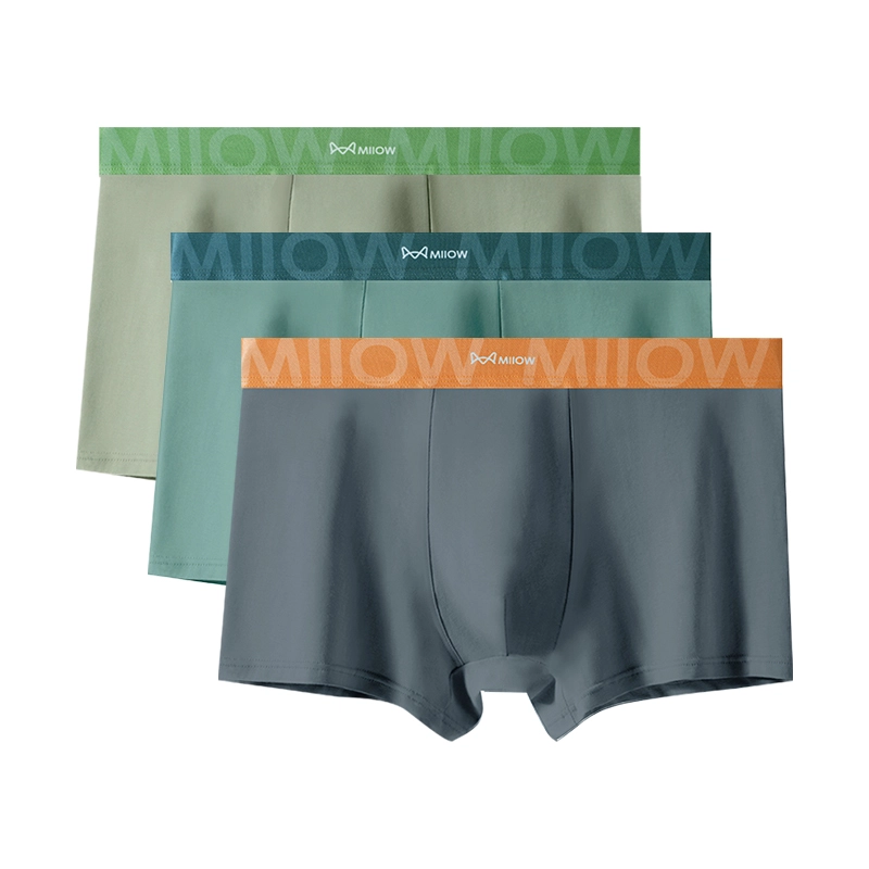 MIIOW 607Alogo 3