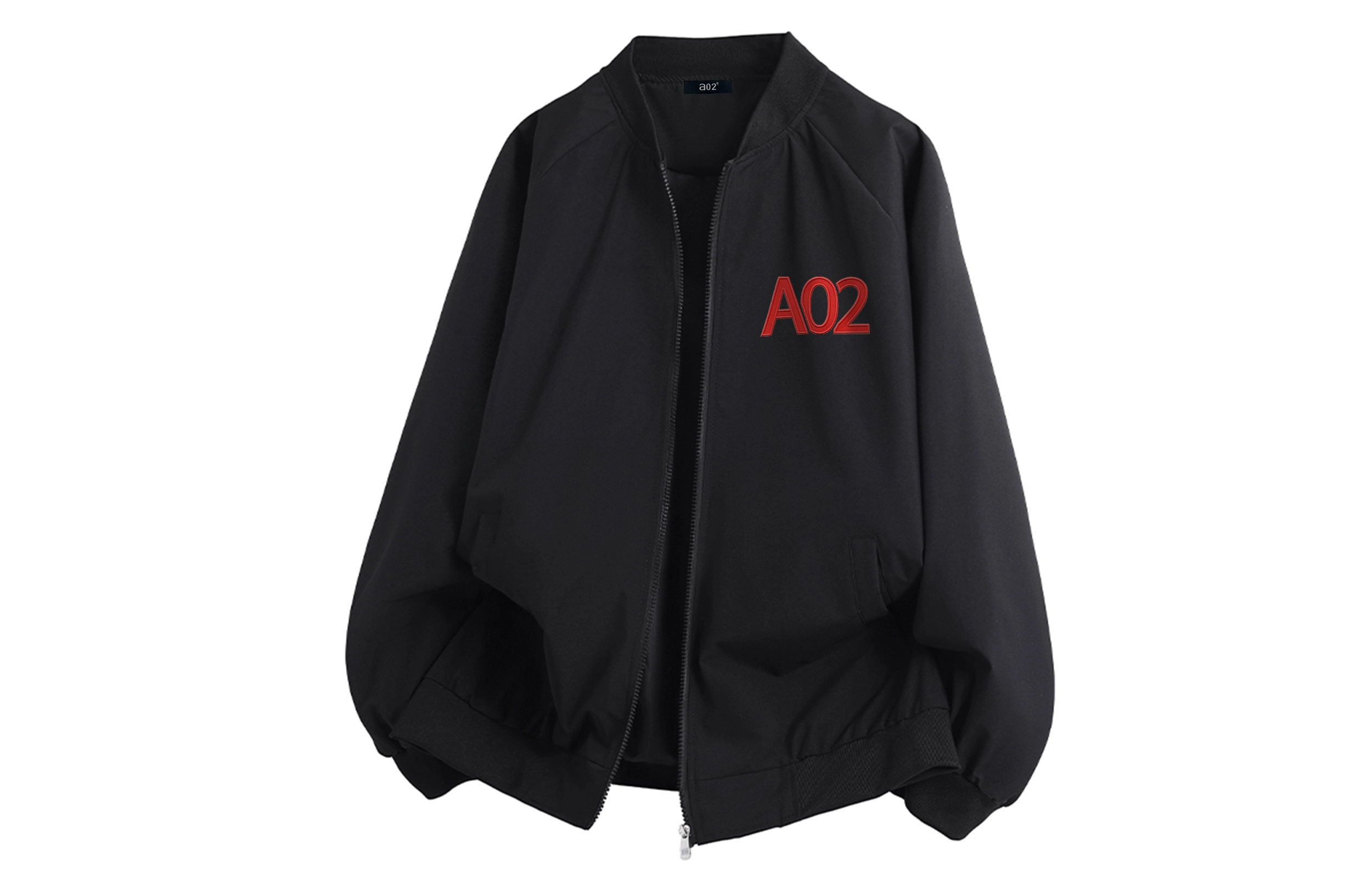 a02 LOGOins