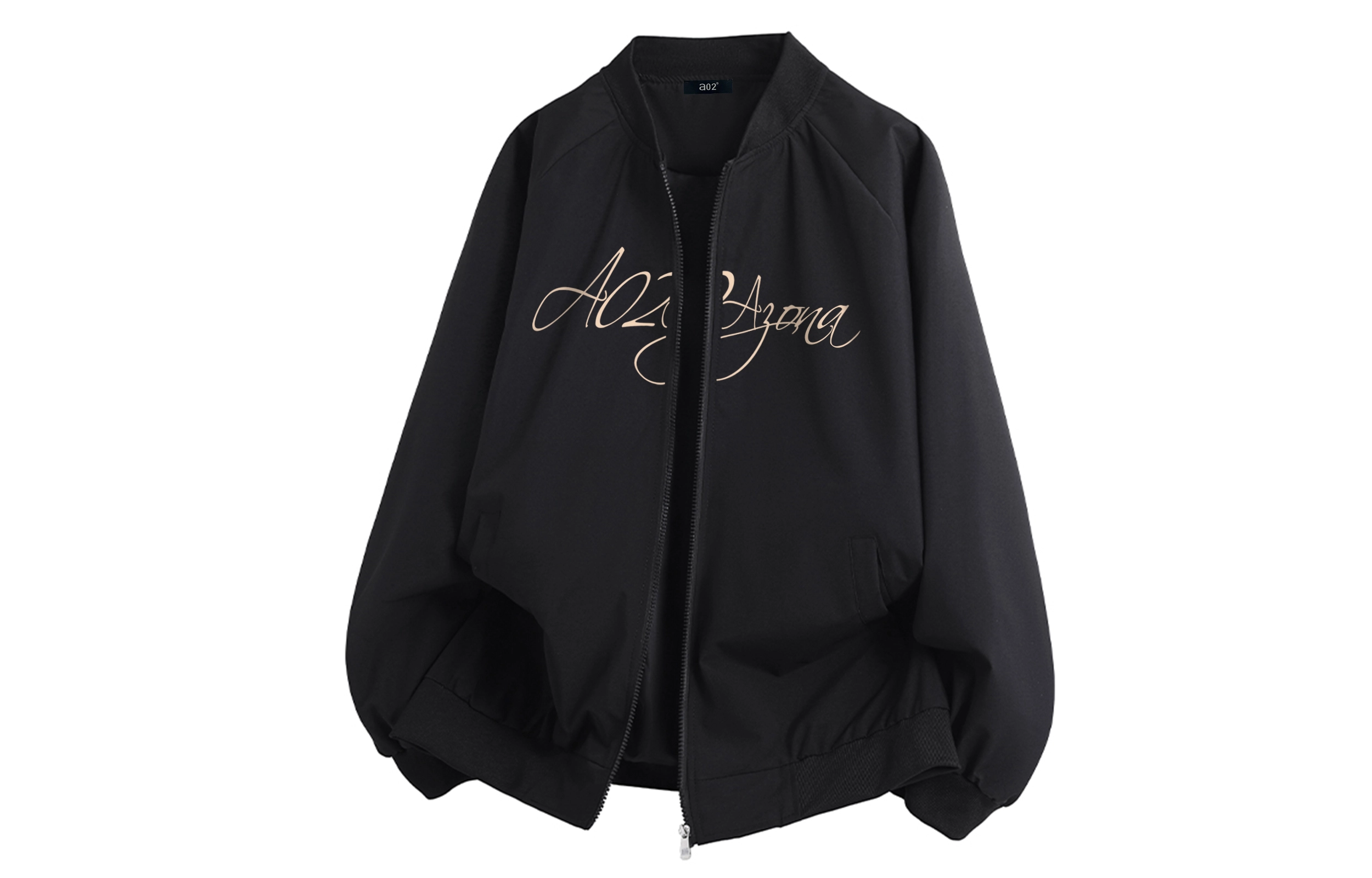 a02 LOGOins