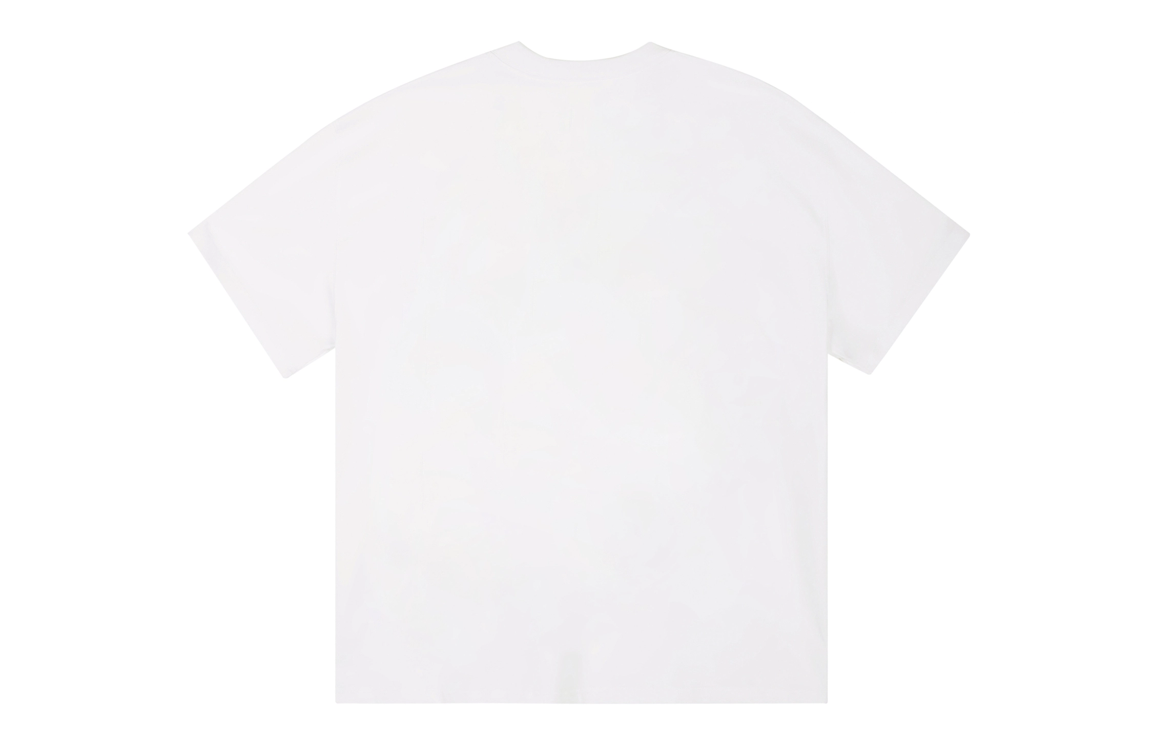 ICONS Lab ICS T