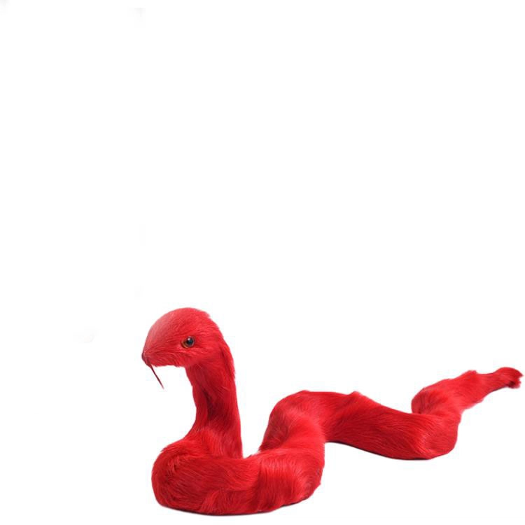 26cm