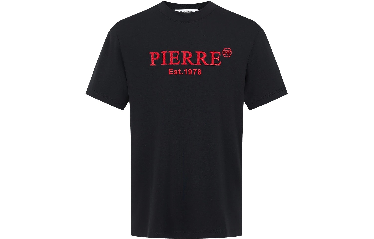 PP PIERRE PIERUCCI LOGOT