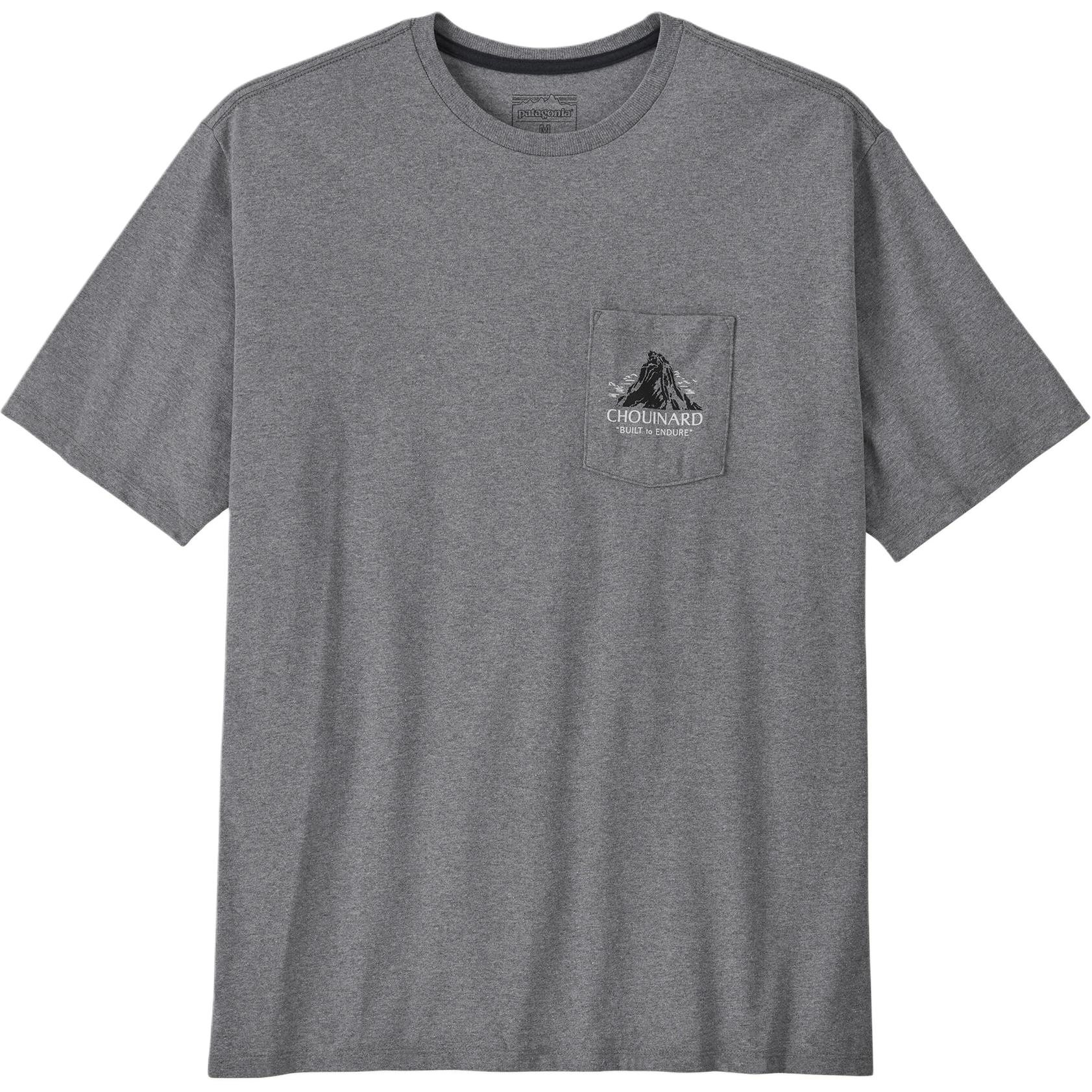 patagonia T
