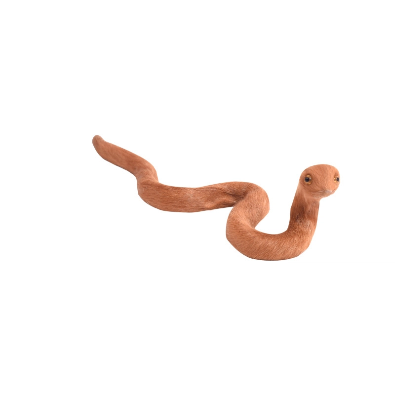 26cm